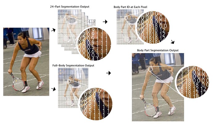 本示例展示了如何将 24 通道身体部位分割与人物分割合并为单通道部位 ID 输出