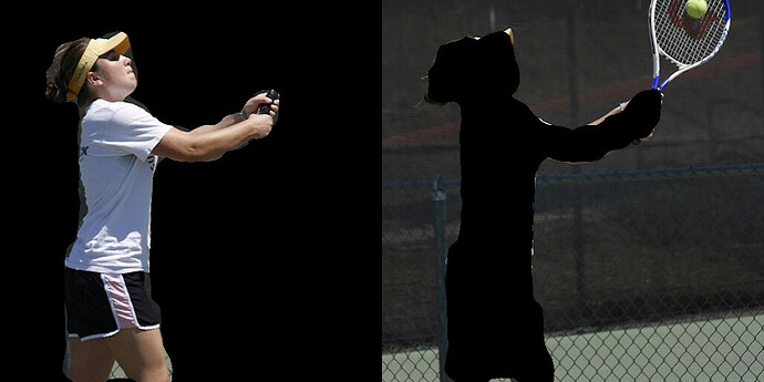 然后，可使用 drawMask 在图像上绘制此掩膜