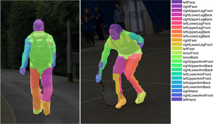 应用于图像的身体部位分割算法示例